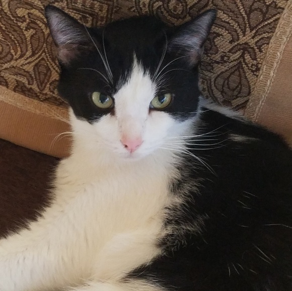 Meet your Posher, Tammy - Picture 1 of 1